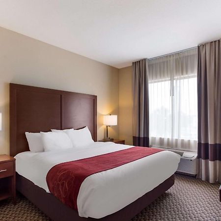 Comfort Suites North Mobile Saraland Eksteriør billede
